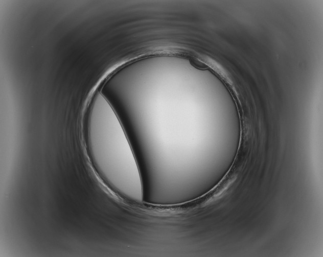 X0000085260843200703090853