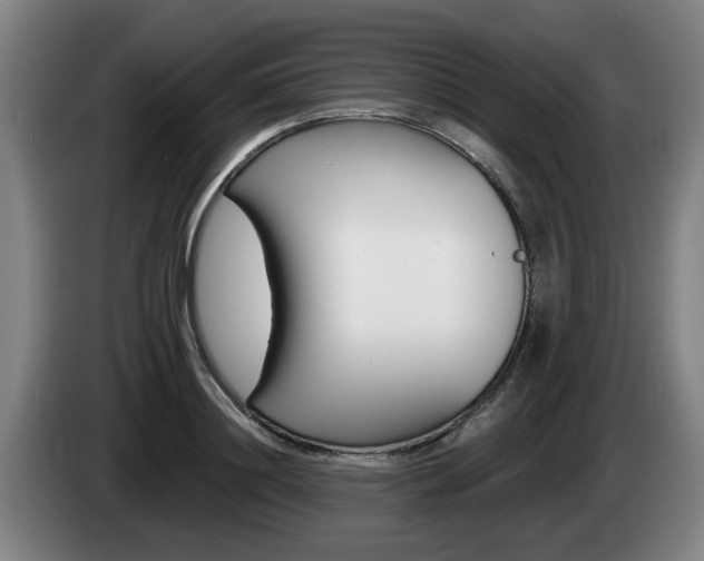 X0000085260844200703090853