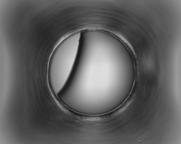 X0000085260845200703090853