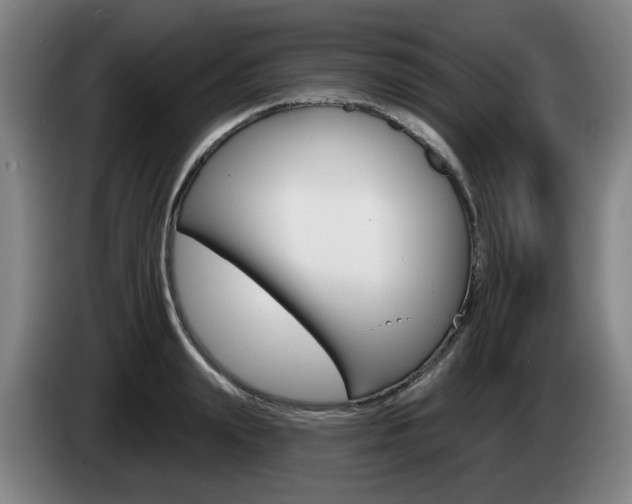 X0000085260847200703090853