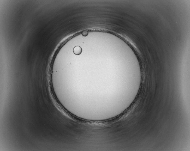 X0000085260848200703090853