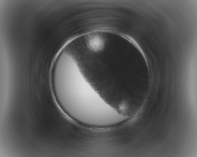 X0000085260851200703090853