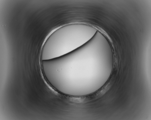 X0000085260855200703090853