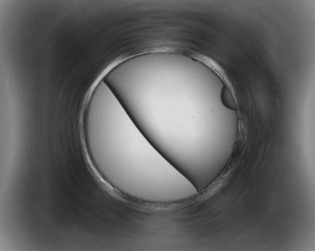 X0000085260859200703090853