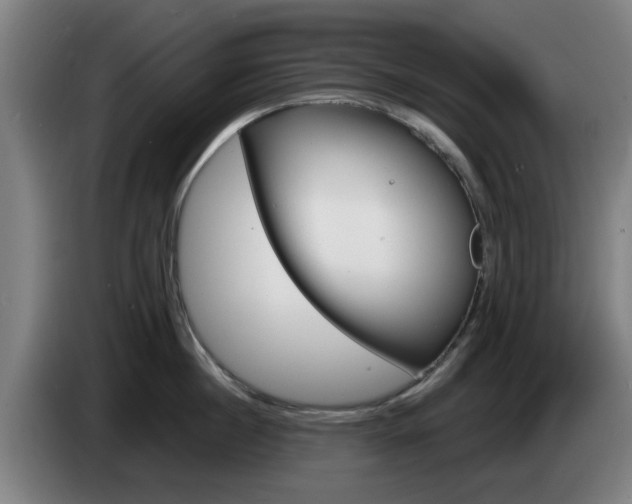 X0000085260860200703090853