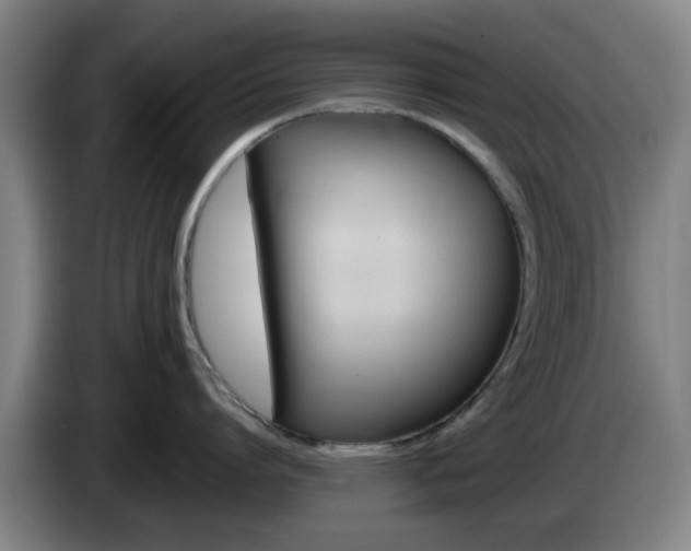 X0000085260864200703090853