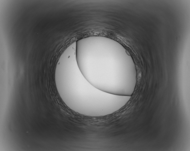 X0000085260865200703090853