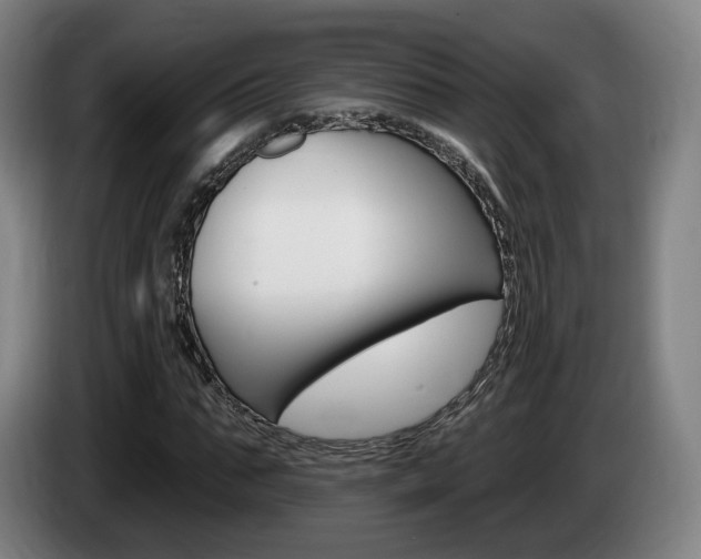 X0000085260871200703090853