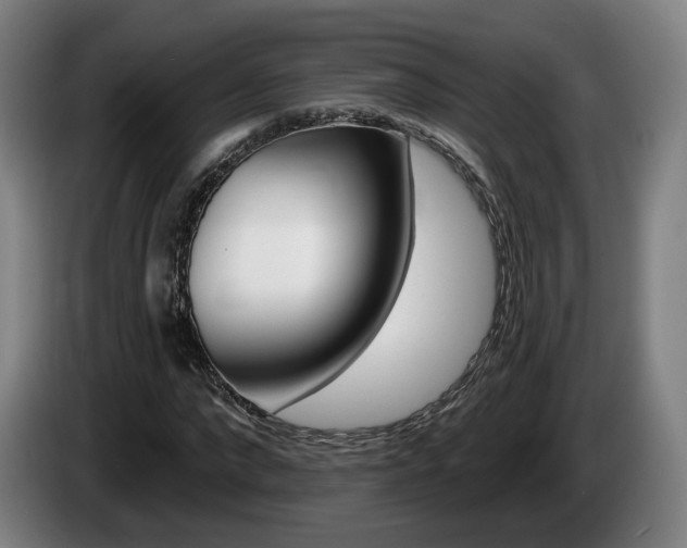 X0000085260872200703090853