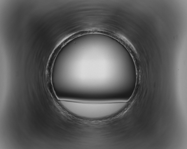 X0000085260876200703090853