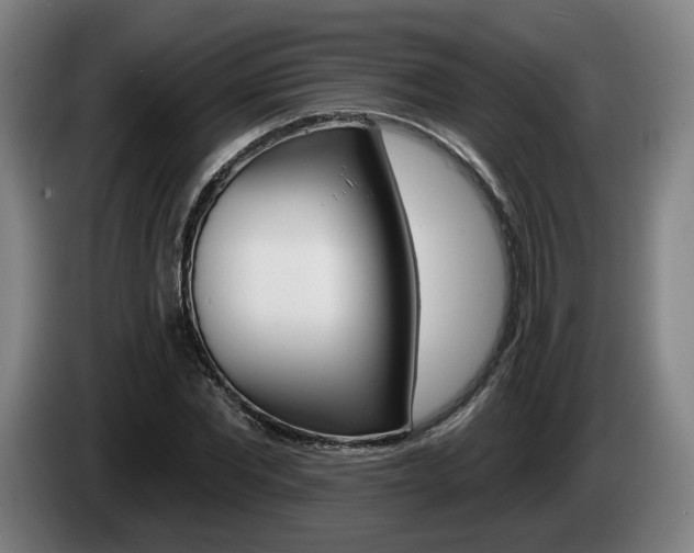 X0000085260877200703090853