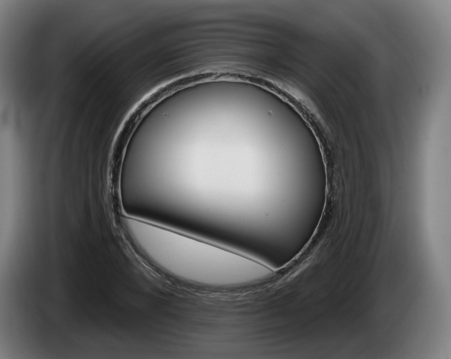 X0000085260880200703090852