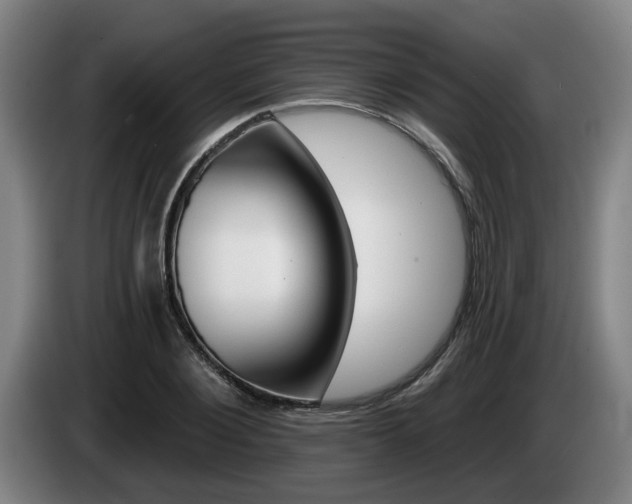 X0000085260884200703090852