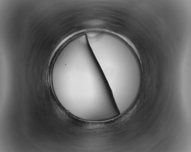 X0000085260887200703090852