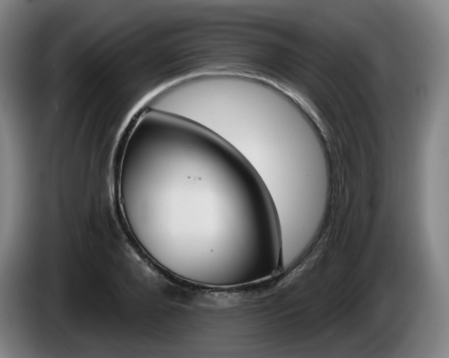 X0000085260888200703090852