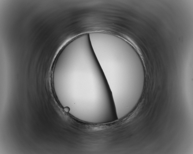 X0000085260899200703090852