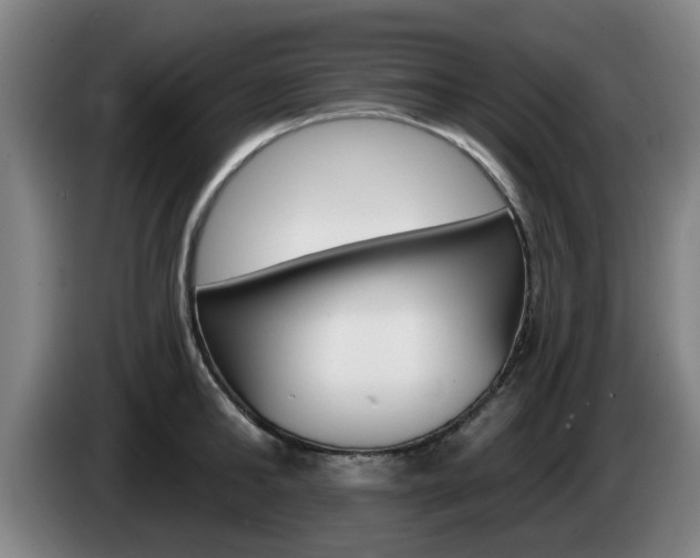 X0000085260902200703090852