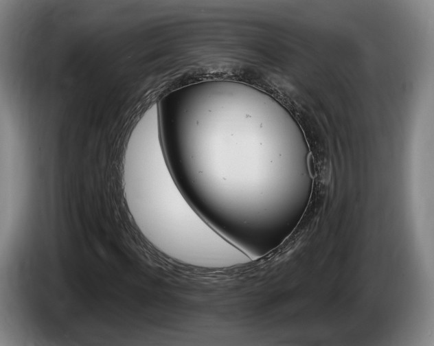 X0000085260916200703090851
