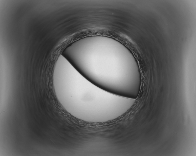 X0000085260919200703090851