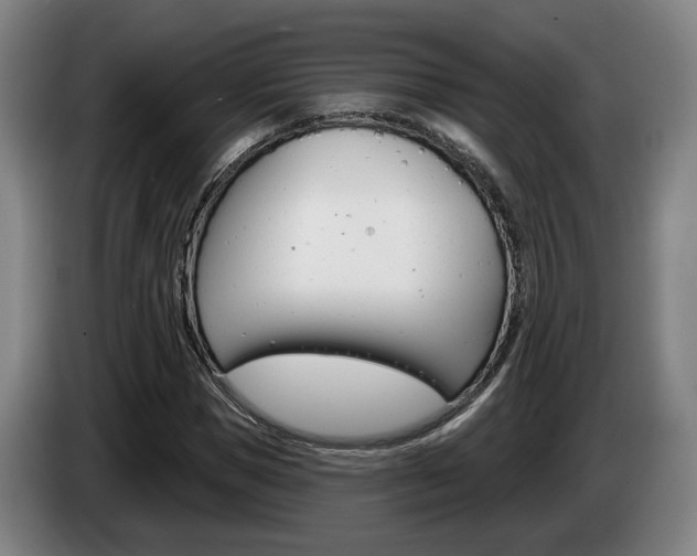 X0000085260921200703090852