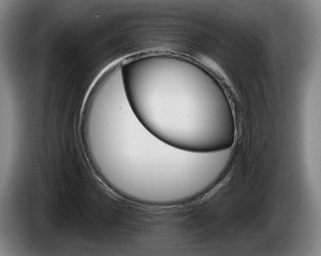 X0000085260924200703090852