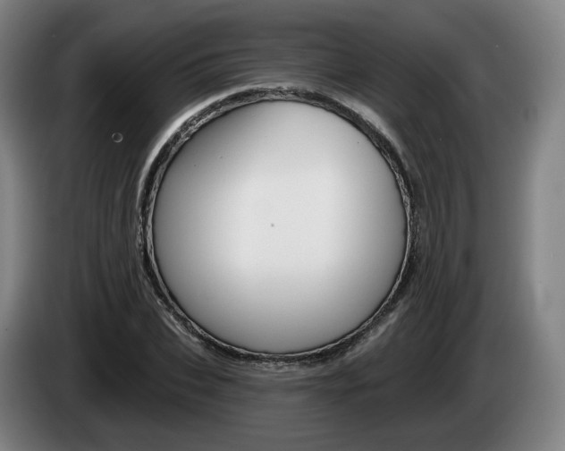 X0000085260927200703090852