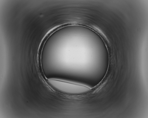 X0000085260932200703090852