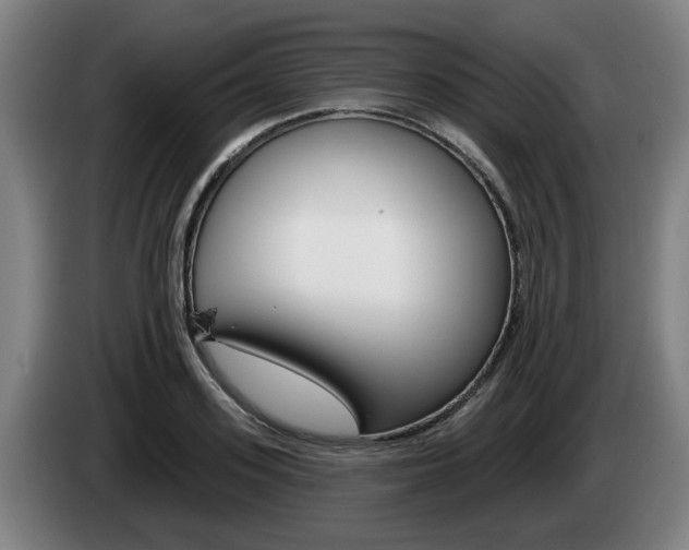 X0000085260939200703090852