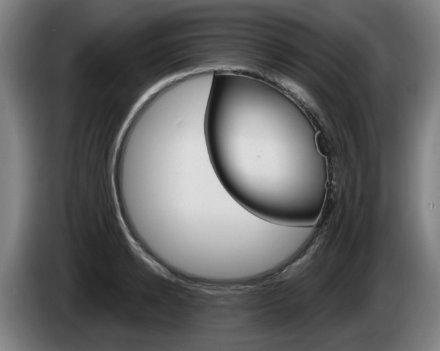 X0000085260942200703090852