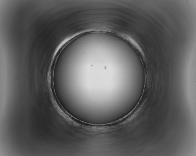 X0000085260944200703090852