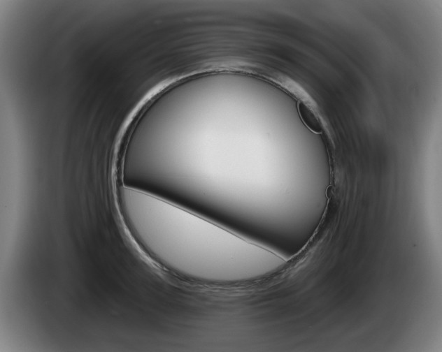 X0000085260947200703090852