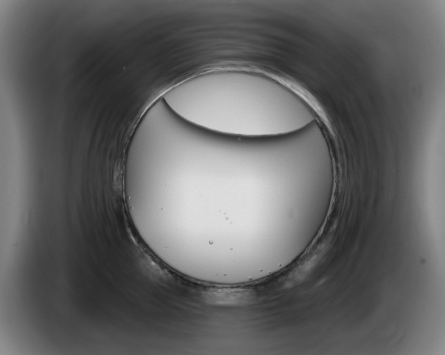 X0000085260953200703090852