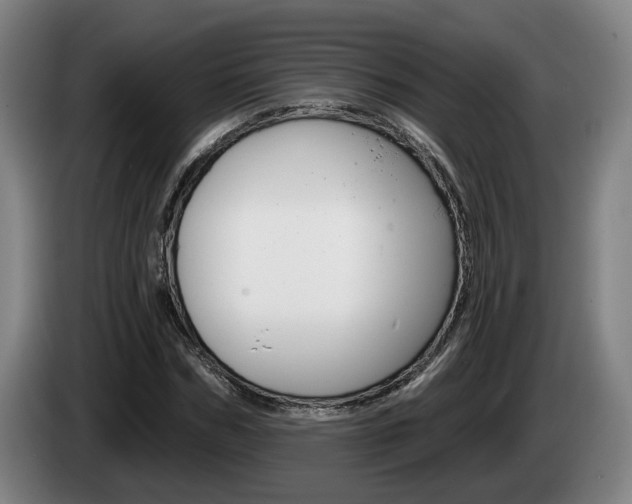 X0000085260970200703090851