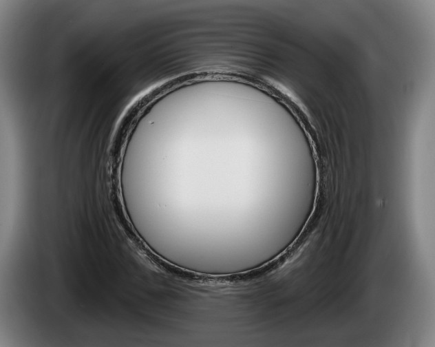 X0000085260971200703090851