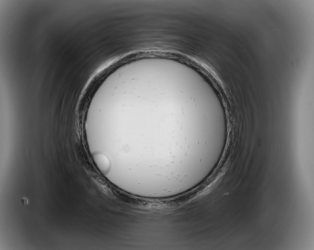 X0000085260974200703090851