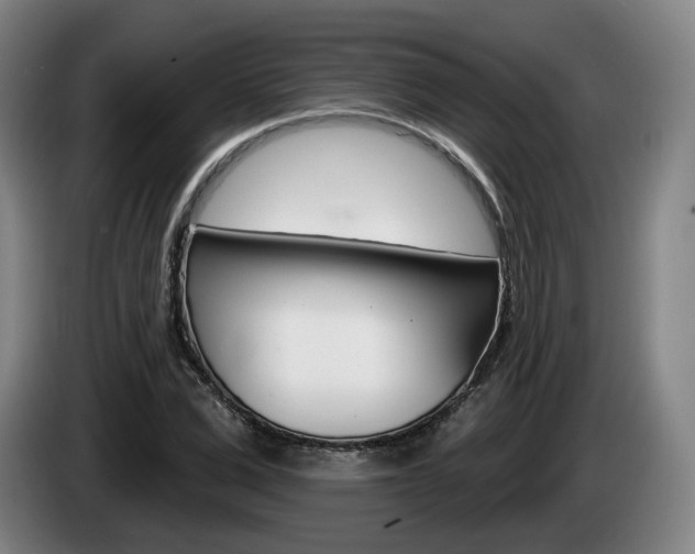 X0000085260975200703090851
