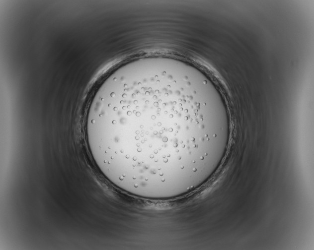 X0000085260978200703090851