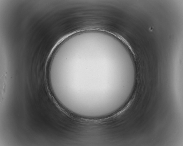 X0000085260981200703090851