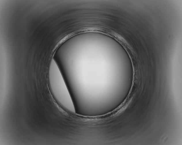 X0000085260985200703090851