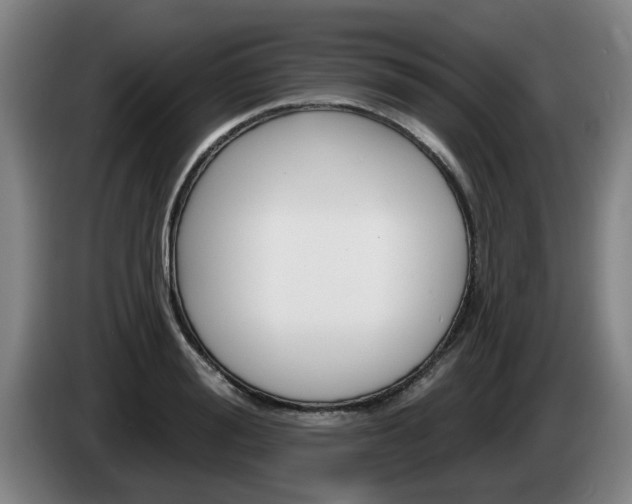 X0000085260988200703090851