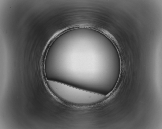 X0000085260989200703090851