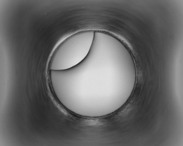 X0000085260990200703090851