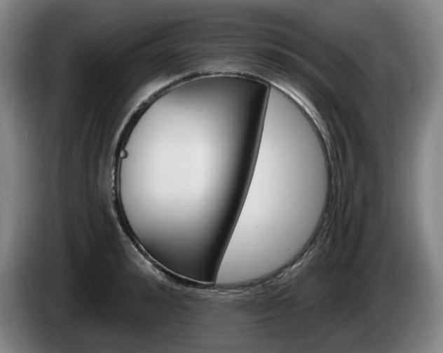 X0000085260992200703090851