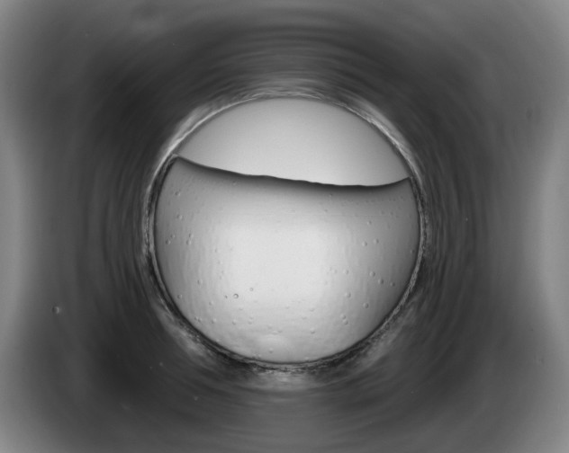 X0000085260994200703090851