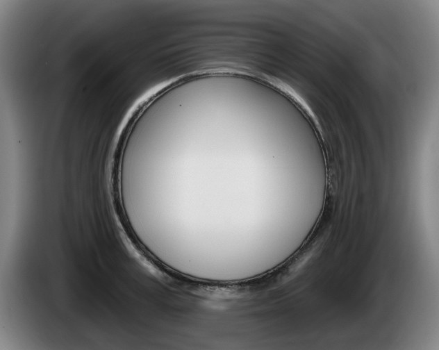 X0000085260995200703090851