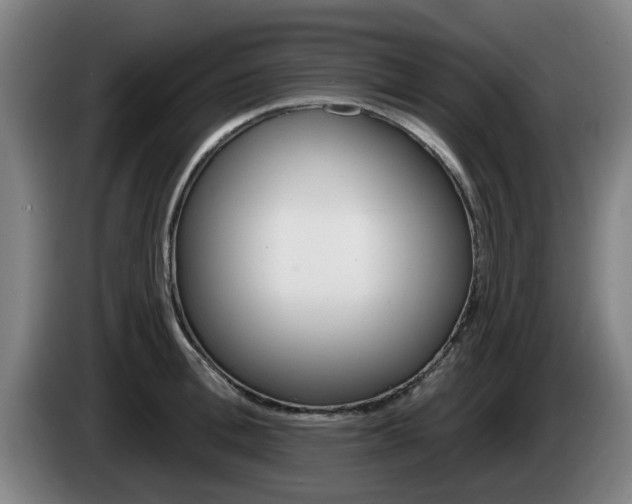 X0000085260996200703090851