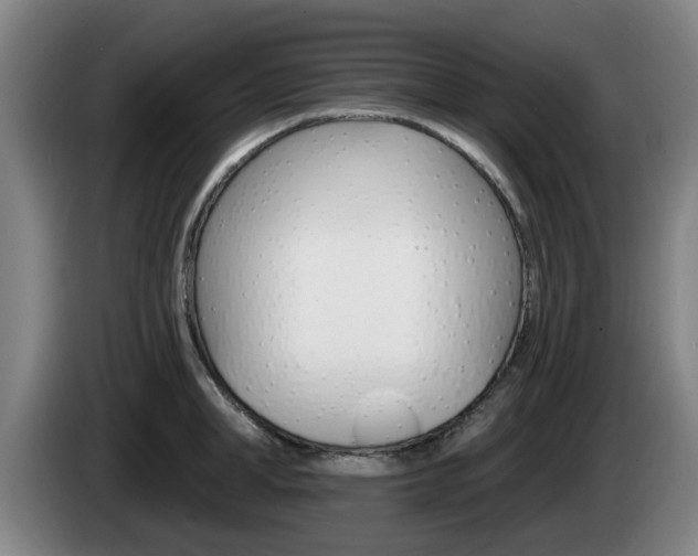X0000085260998200703090851