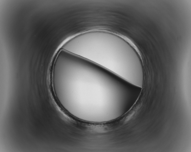 X0000085260999200703090851
