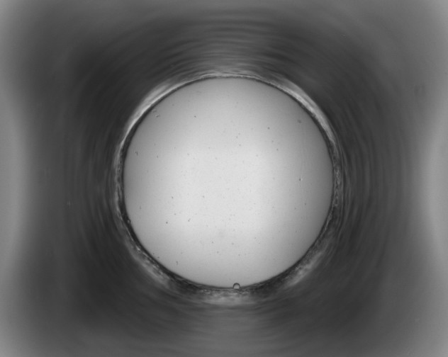 X0000085261002200703090851