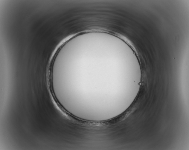 X0000085261003200703090851
